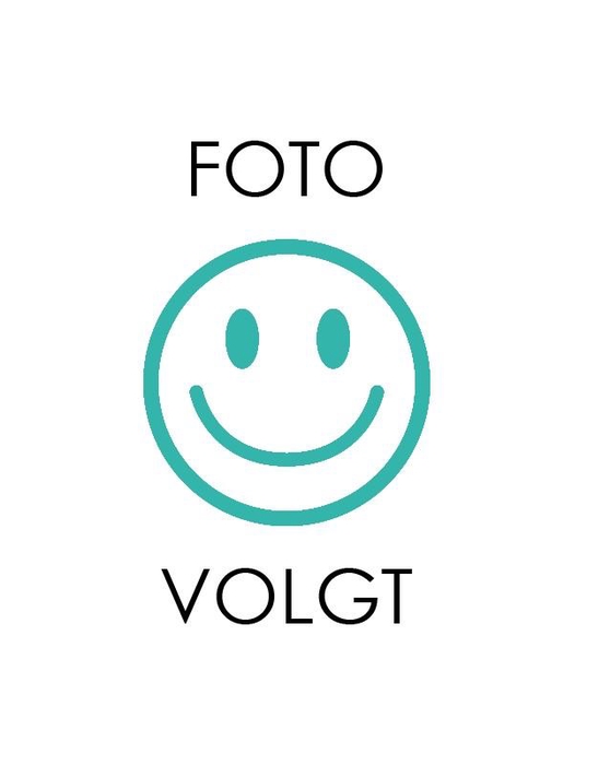 <h4>Cactus bollen mix 5,5 cm PD</h4>