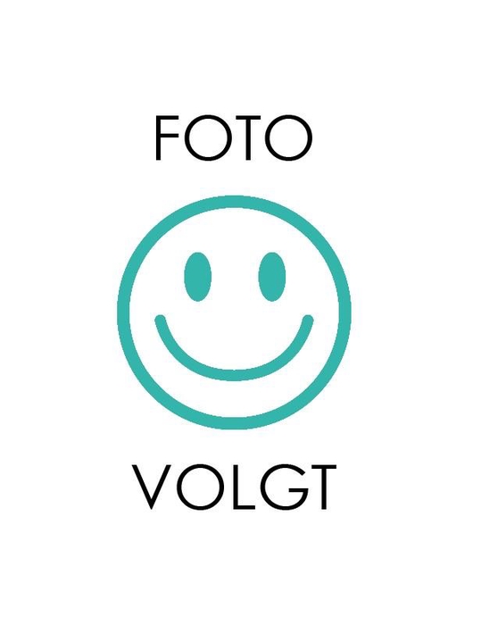 <h4>Cactus bollen mix 5,5 cm PD</h4>