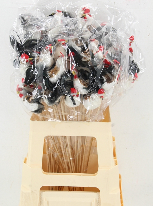 <h4>HUIS EN TUINDECO H%</h4>