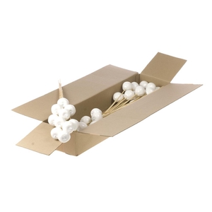 Apple 5cm Wax O/s 10pc Sb White