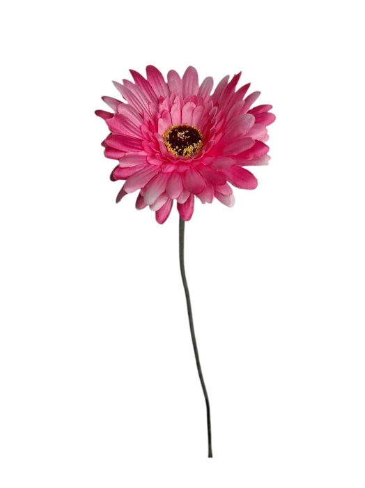 <h4>AF Gerbera L58cm Beauty</h4>