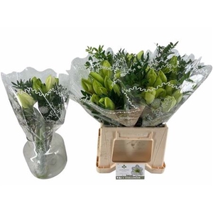 Hipp Ga Challenger Bq (4stems)