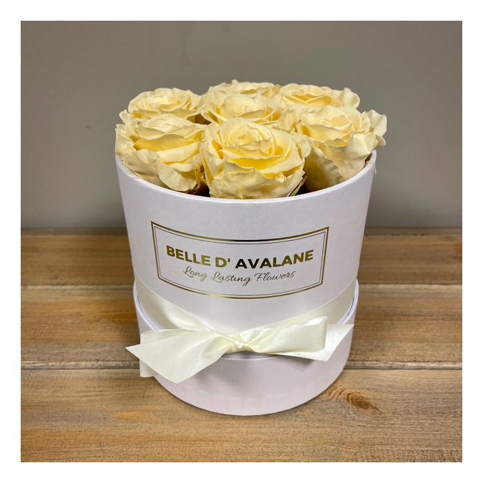 <h4>Box rd 15cm wit-champagne</h4>