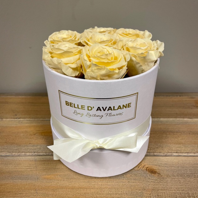 <h4>Box rd 15cm wit-champagne</h4>