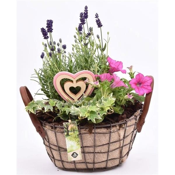 <h4>Gaasmand ovaal met jute 25x20cm</h4>