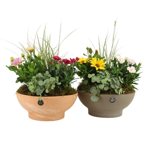 31699: Outdoor summer arrangement