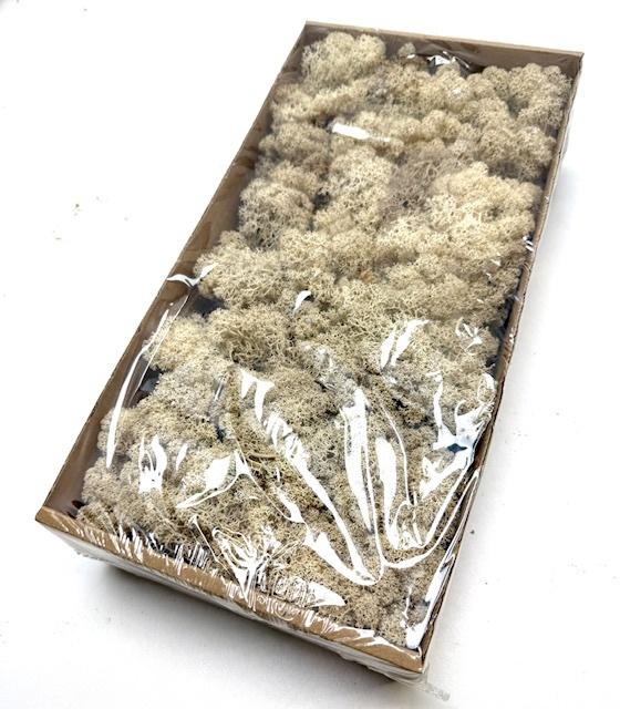 <h4>IJSLANDSMOS GEPREP. KLEIN P.DS</h4>