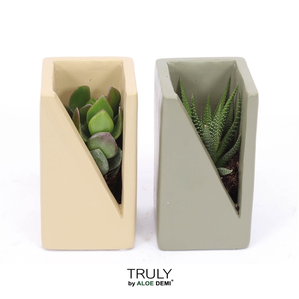 <h4>TRULY Succulent, Meles concrete - Green Beige</h4>