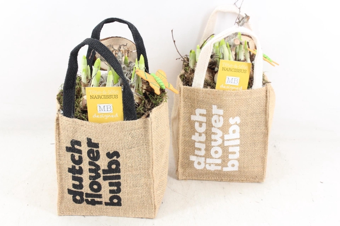 <h4>arr4 Narcis MB - Tasje dutch bulbs 338/6</h4>