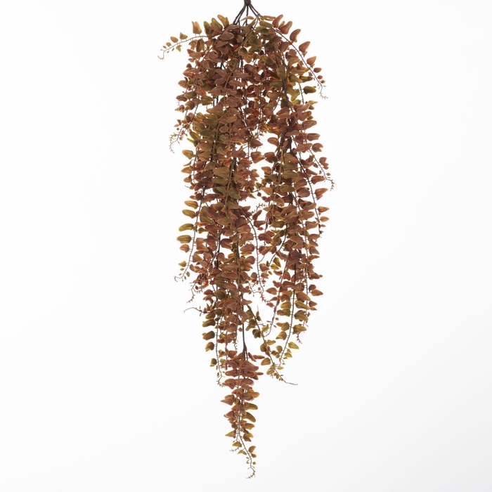 <h4>AF Hang Bush Fern x5 L79cm Bro</h4>