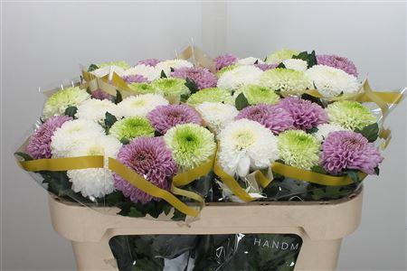 <h4>CHR G PASTEL MIX</h4>