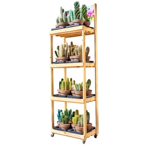 WOODEN DISPLAY WITH WHEELS 4 SHELVES - MIX COLUMNAR CACTUS Ø16 - 60 X 40 X H 210 - PIECES 32