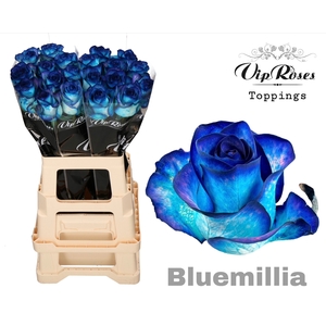R GR BLUEMILIA