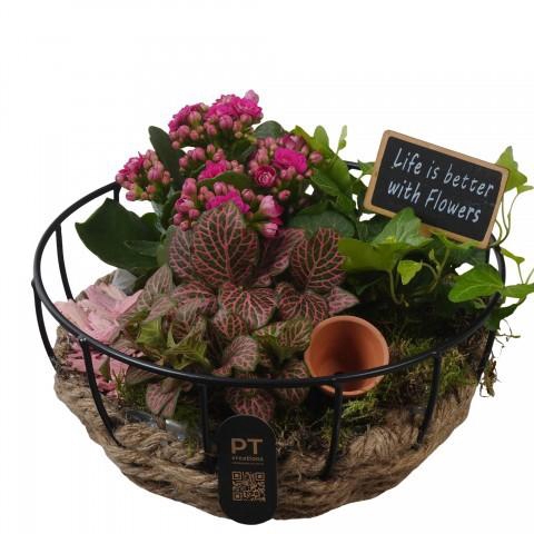 <h4>PTIB5275 Arrangement Indoor in touwmand met metaal</h4>