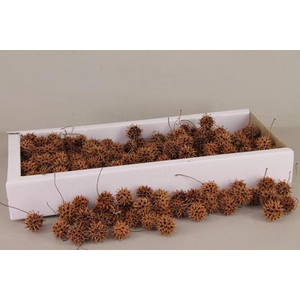 Amberbaum Box Natural (1 Kg)