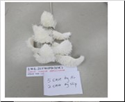 AF Magnolia LVS Spray Pudd L80