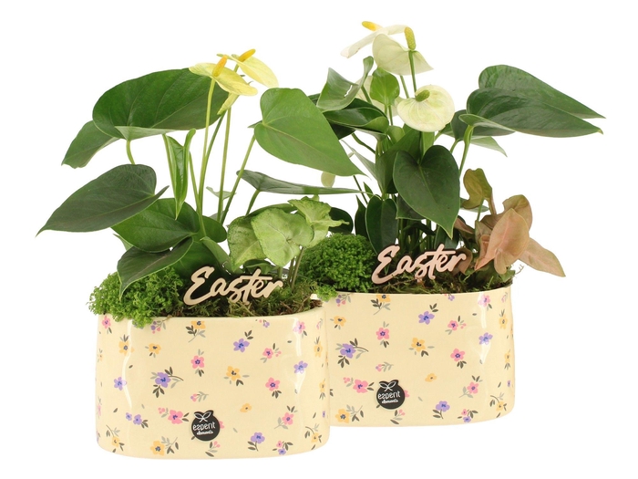 <h4>70884: Easter arrangement</h4>