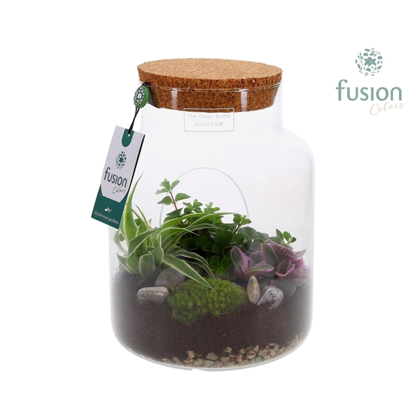 <h4>Green Bottle Pot Medium met Groen planten</h4>