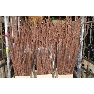 DRY CANDELA LONG COPPER PBS