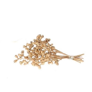 Deco Bundle Euca Gold