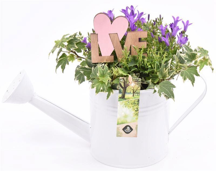 <h4>Zink gieter 13cm</h4>