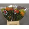 BQ Nutans 2 Flower