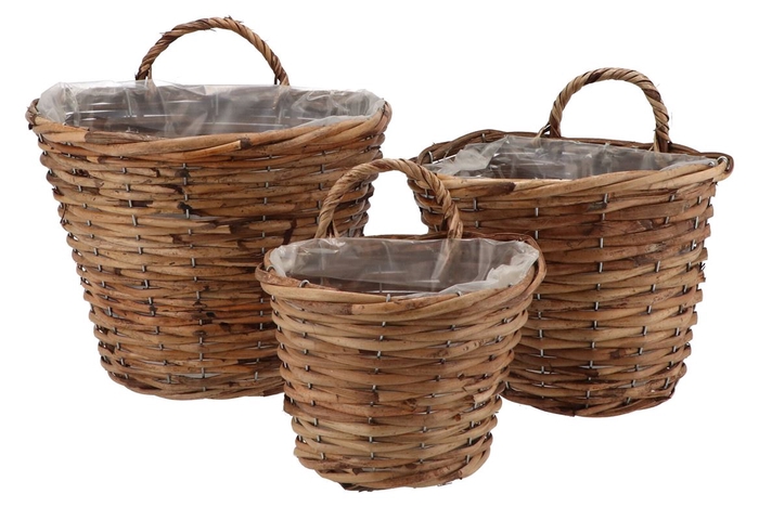 <h4>Rattan Basket Wall Hanger 3pcs 30x25x25cm Nm</h4>