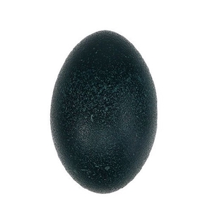 Easter Egg Emu plastic 14cm