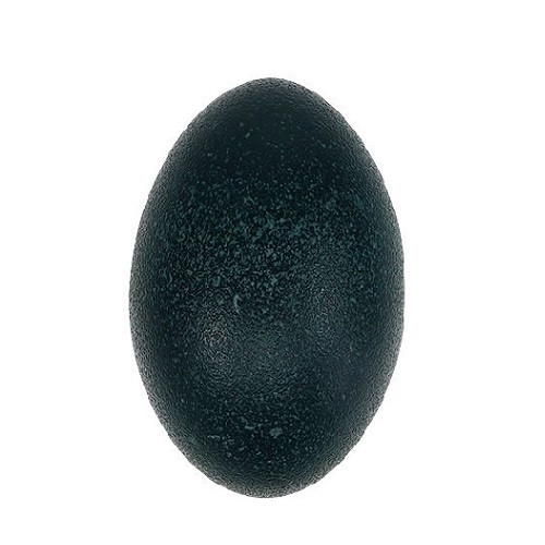 <h4>Easter Egg Emu plastic 14cm</h4>