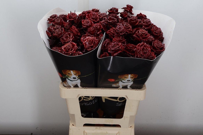 <h4>Wax-Rozen Wax Wit  Zilver glitter</h4>