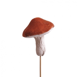 Autumn 10cm Mushroom 7cm