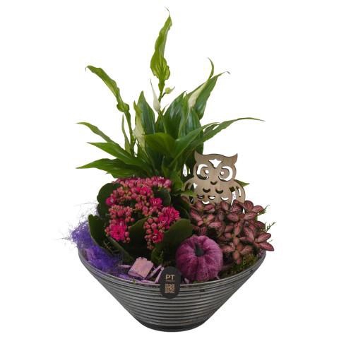 <h4>PTHG8260 Arrangement Autumn Glass in glas schaal</h4>