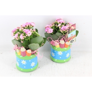 arr2 JS - Ker. pot pencil - roze