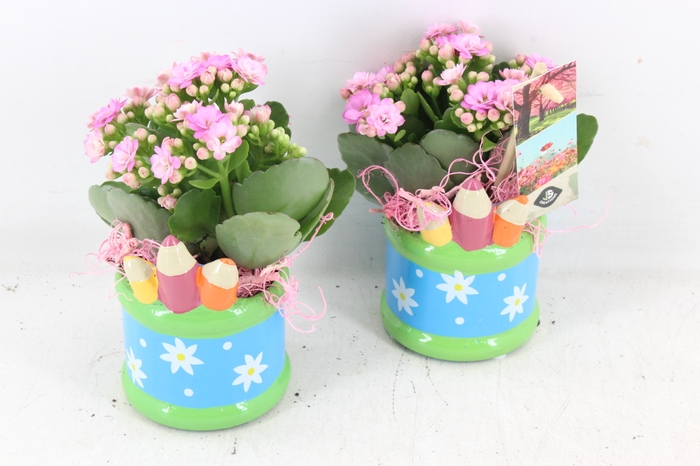 <h4>arr2 JS - Ker. pot pencil - roze</h4>