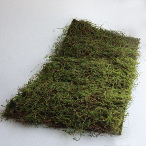 PLACA DE GRAMA 50X100 CM VERDE - SMO 5614 IMP