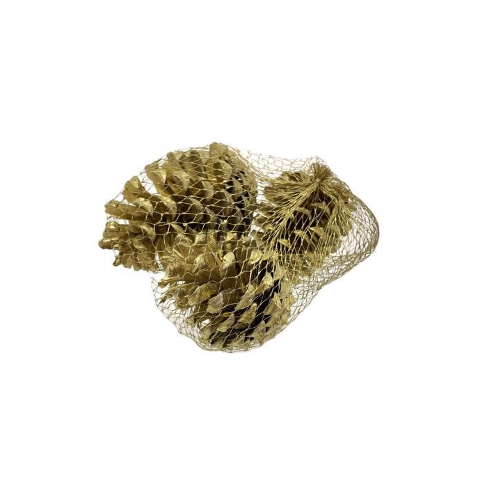 <h4>Pinecone Maritima 3pcs L10</h4>