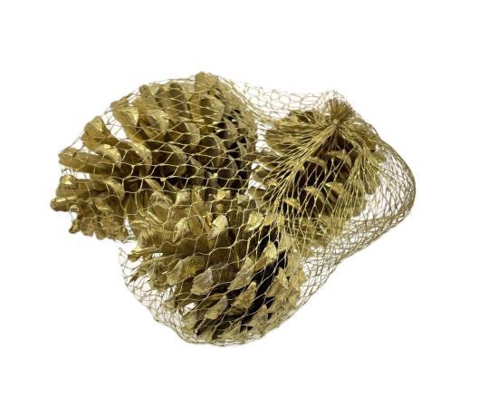 Pinecone Maritima 3pcs L10