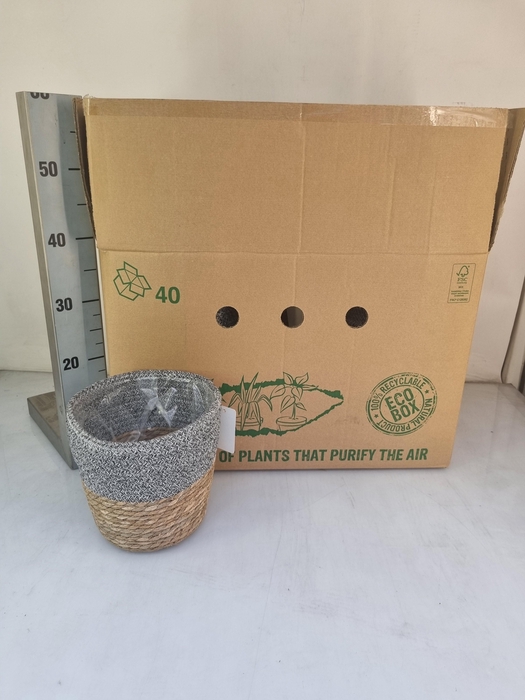 <h4>HUIS EN TUINDECO H%</h4>