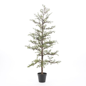 AF LARIX TREE POT H167CM GREEN