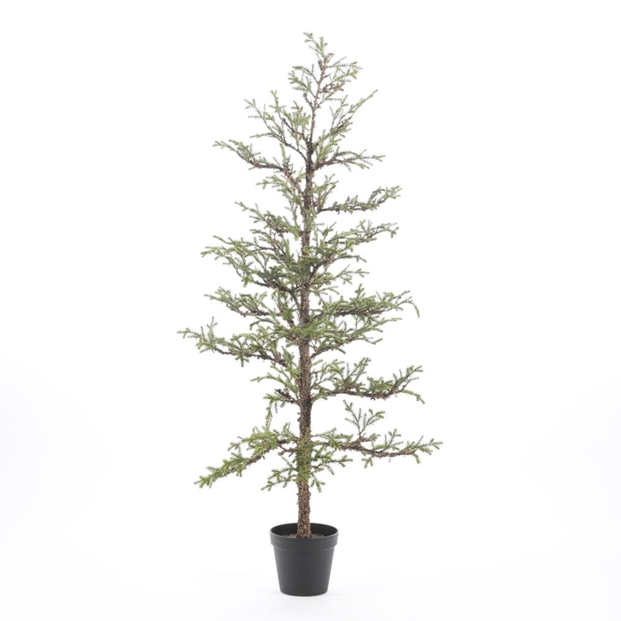 <h4>AF LARIX TREE POT H167CM GREEN</h4>