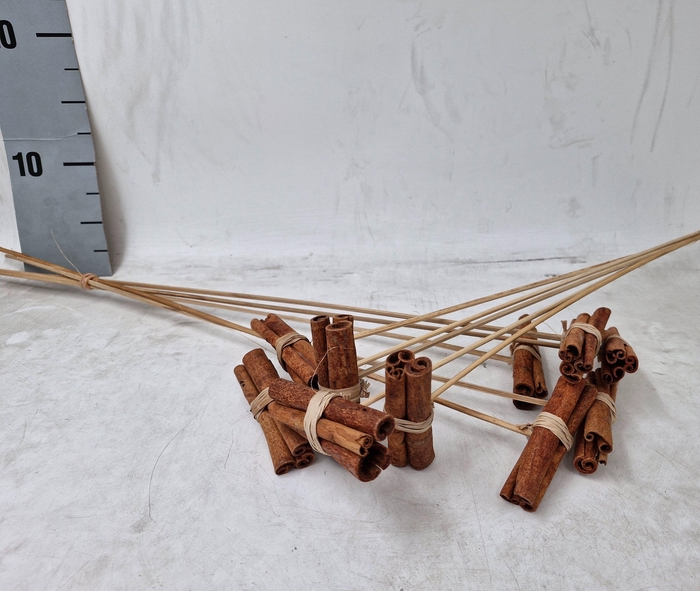 <h4>BIJSTEKERS H%</h4>