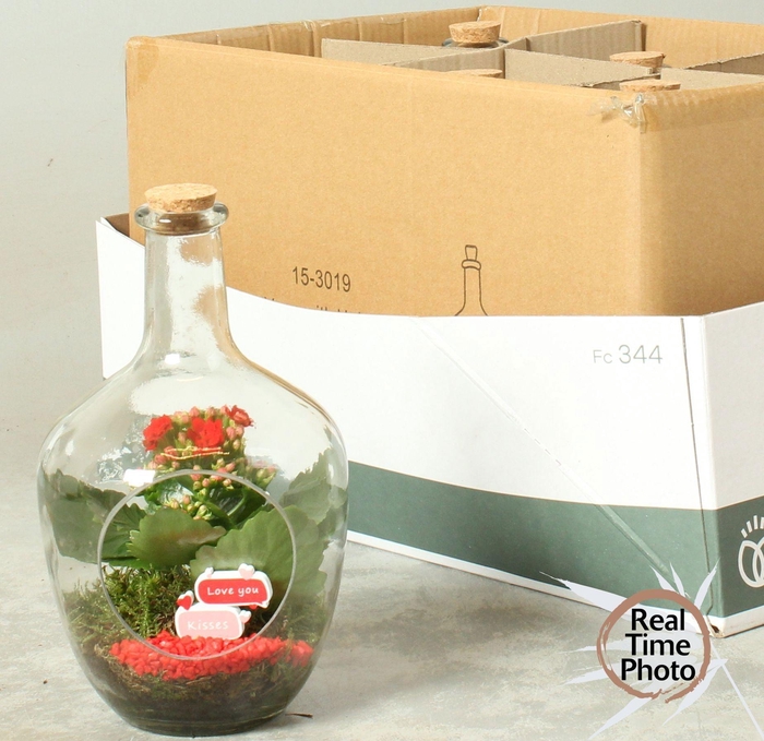 <h4>ARR KAMERPL</h4>