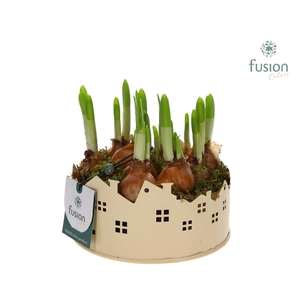 Zinken schaal Huisjes Small met Narcis