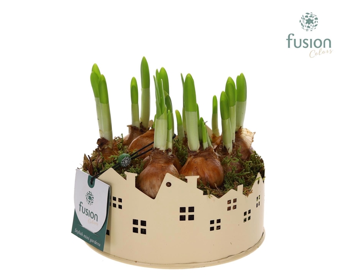 <h4>Zinken schaal Huisjes Small met Narcis</h4>