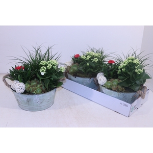 ARR TUINPLANTEN