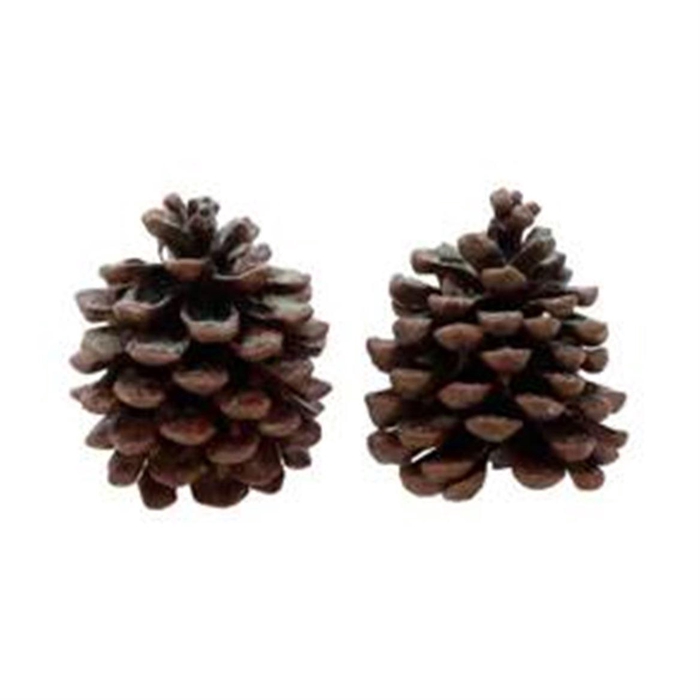 <h4>Deco Pinecone Pinea Cinnamon 2pcs L19w12h14</h4>