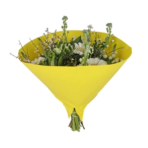 Hoes 35x35cm Angelo 70gr wit gestr. kraft geel 500/doos