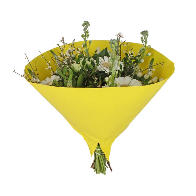 <h4>Hoes 35x35cm Angelo 70gr wit gestr. kraft geel 500/doos</h4>