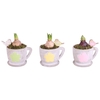 Bulbs Arr. Hyacint Ceramic Cup Flowers Green/Yellow/Pink Ø12cm