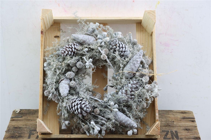 Wr Exotica Mix Wax White 30cm